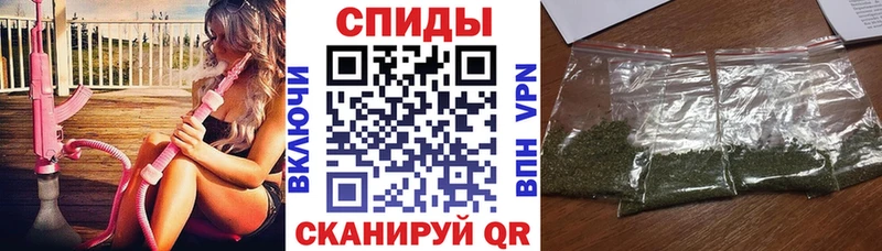 БУТИРАТ буратино  Бородино 