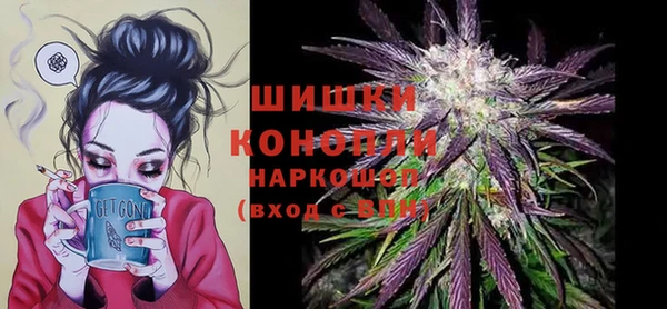 apvp Пересвет