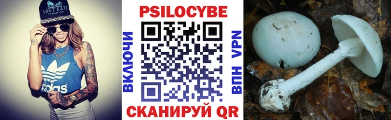 Галлюциногенные грибы Psilocybine cubensis  кракен как войти  мориарти какой сайт  Бородино 