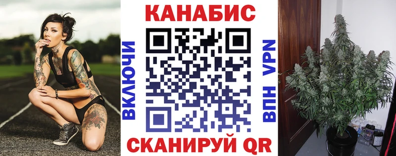 Конопля сатива  даркнет наркотические препараты  Бородино  что такое  